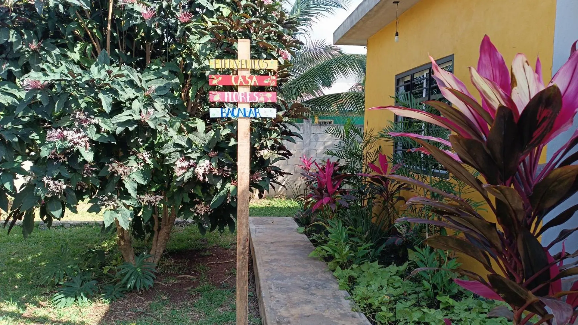 Casa Flores Bacalar Appartement